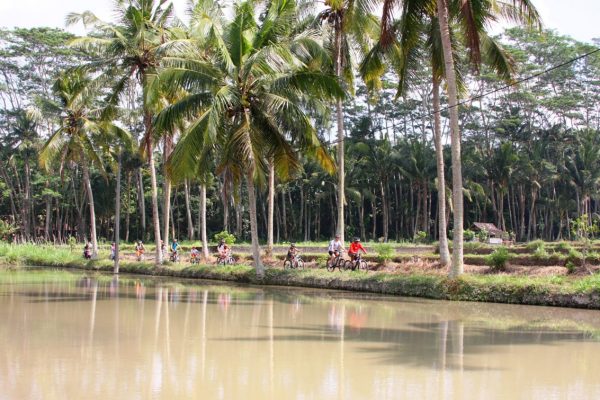 Explore Sangeh or Ubud - Village Cycling