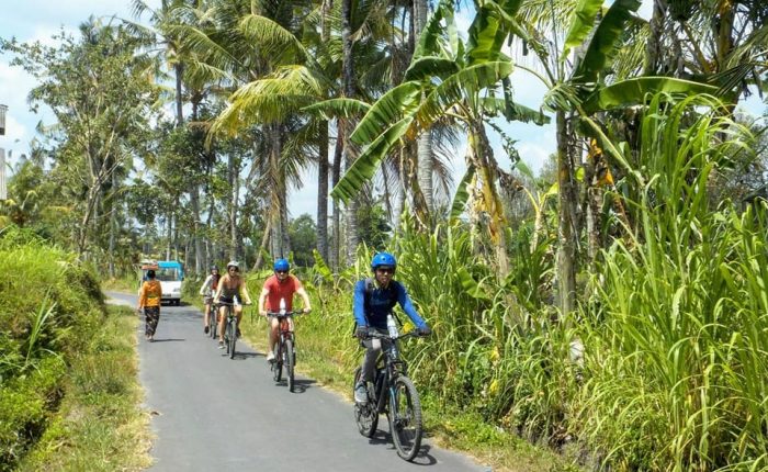 Explore Ubud until Tirta Empul Cycling