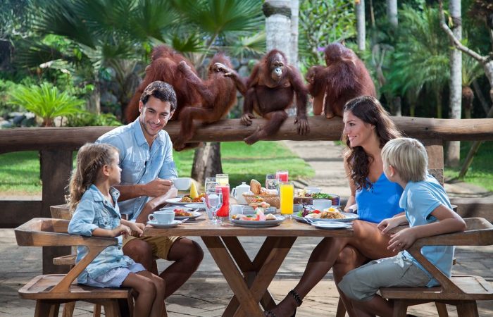 Closed with Orangutan by Breakfast