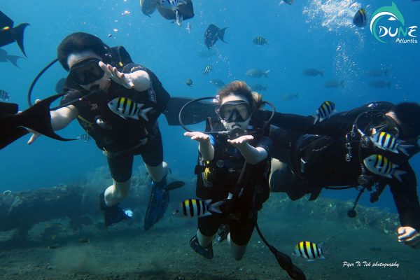 Open Water Diver Learning Course